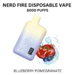 Nerd Fire 8000 Puffs Blueberry Pomegranate