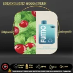 New Fummo Spin 10000 Blueberry Ice