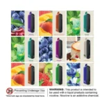 Fummo Indic 12000 Puffs Disposable Vape
